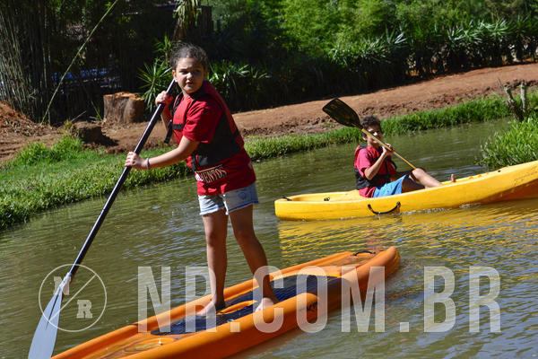 Buy your photos of the eventNR1 Ol� 6� Ano - 07 a 09/12/18 on Fotop