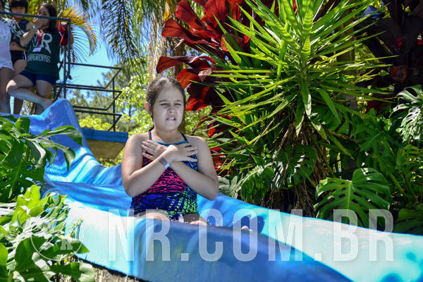 Buy your photos of the eventNR1 Ol� 6� Ano - 07 a 09/12/18 on Fotop