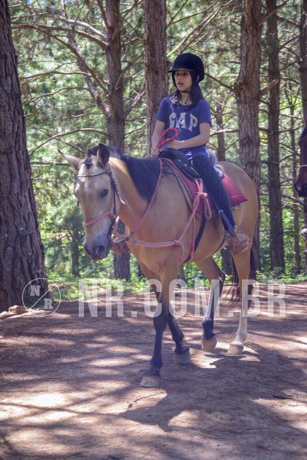 Buy your photos of the eventNR1 Ol� 6� Ano - 07 a 09/12/18 on Fotop