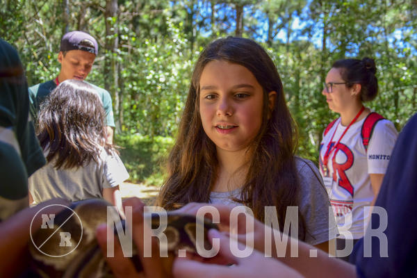 Buy your photos of the eventNR1 Ol� 6� Ano - 07 a 09/12/18 on Fotop