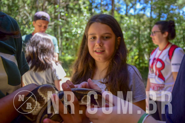 Buy your photos of the eventNR1 Ol� 6� Ano - 07 a 09/12/18 on Fotop