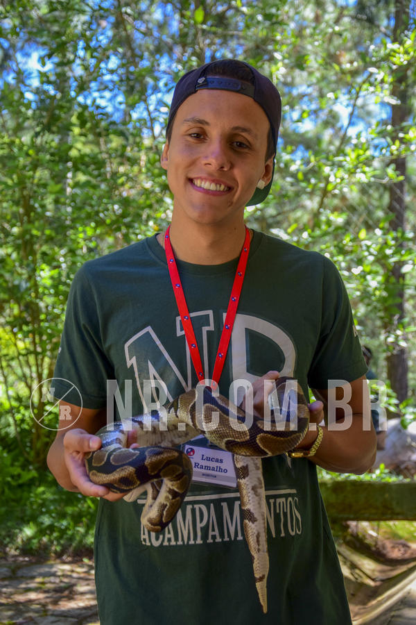 Buy your photos of the eventNR1 Ol� 6� Ano - 07 a 09/12/18 on Fotop