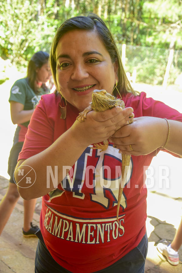 Buy your photos of the eventNR1 Ol� 6� Ano - 07 a 09/12/18 on Fotop