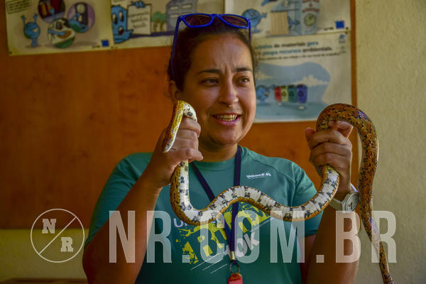 Buy your photos of the eventNR1 Ol� 6� Ano - 07 a 09/12/18 on Fotop