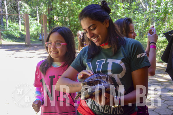 Buy your photos of the eventNR1 Ol� 6� Ano - 07 a 09/12/18 on Fotop