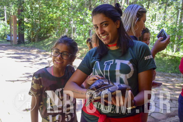 Buy your photos of the eventNR1 Ol� 6� Ano - 07 a 09/12/18 on Fotop