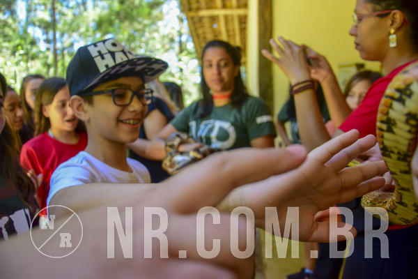 Buy your photos of the eventNR1 Ol� 6� Ano - 07 a 09/12/18 on Fotop