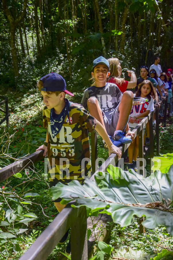 Buy your photos of the eventNR1 Ol� 6� Ano - 07 a 09/12/18 on Fotop