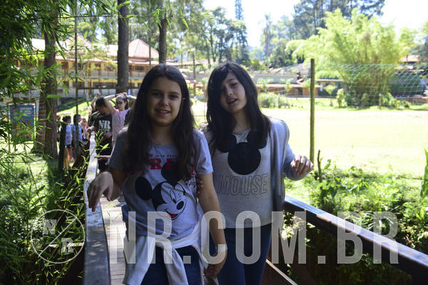 Buy your photos of the eventNR1 Ol� 6� Ano - 07 a 09/12/18 on Fotop