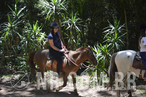 Buy your photos of the eventNR Sun - 09 A 12/12/18 on Fotop