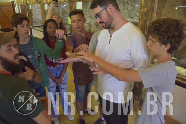 Buy your photos of the eventNR Sun - 09 A 12/12/18 on Fotop