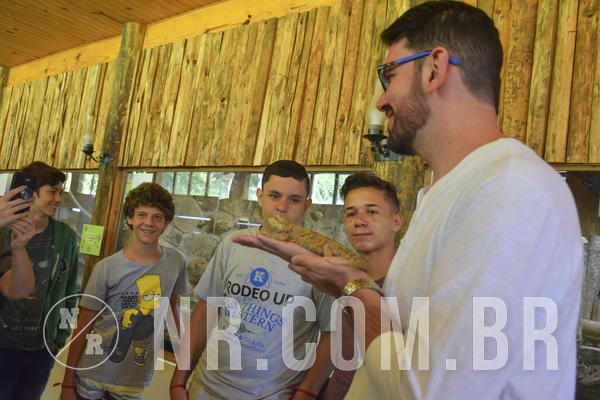 Buy your photos of the eventNR Sun - 09 A 12/12/18 on Fotop