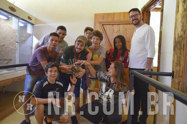 Buy your photos of the eventNR Sun - 09 A 12/12/18 on Fotop