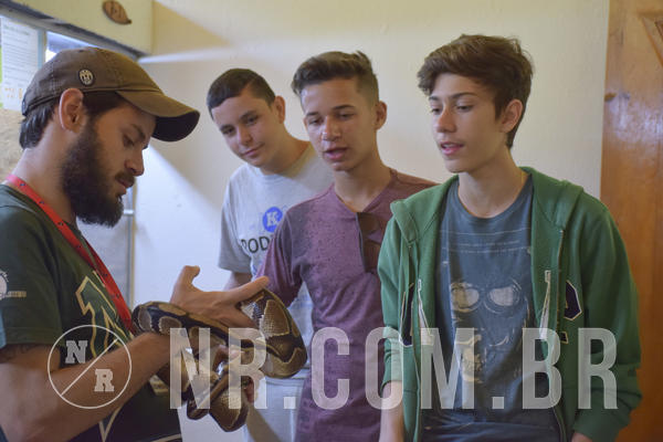 Buy your photos of the eventNR Sun - 09 A 12/12/18 on Fotop