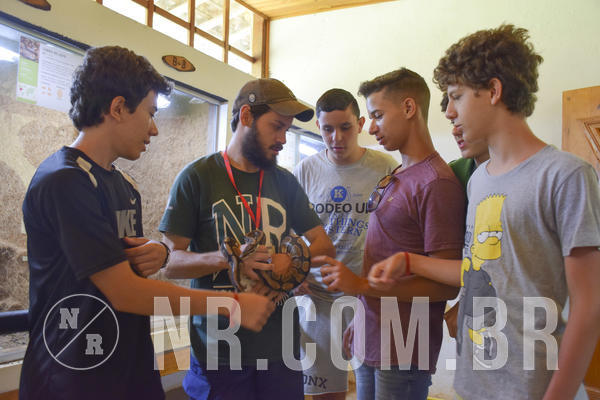 Buy your photos of the eventNR Sun - 09 A 12/12/18 on Fotop