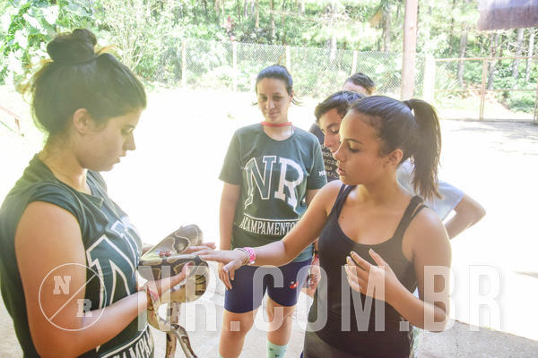 Buy your photos of the eventNR Sun - 09 A 12/12/18 on Fotop