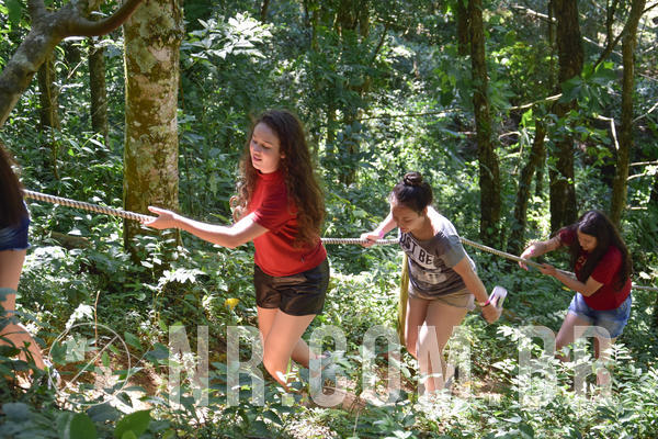 Buy your photos of the eventNR Sun - 09 A 12/12/18 on Fotop