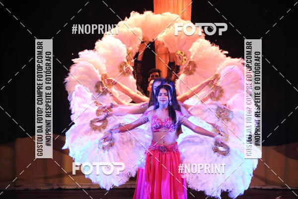 Buy your photos of the eventALADDIN E DIVERTISSEMENT - ARTE DANA on Fotop