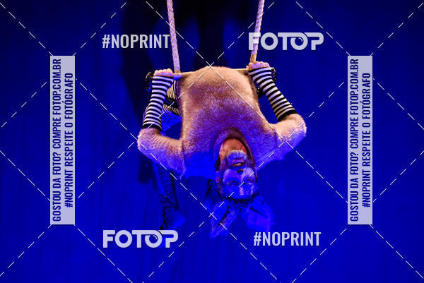 Buy your photos of the eventCabar� de Final de ano - 12/12 on Fotop