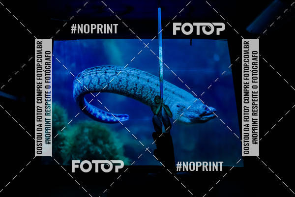 Buy your photos of the eventCabar� de Final de ano - 14/12  on Fotop