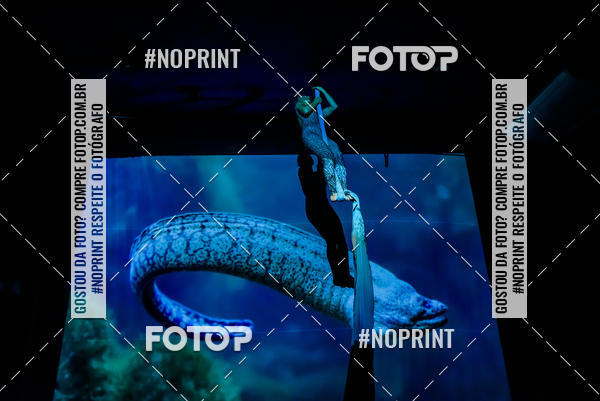 Buy your photos of the eventCabar� de Final de ano - 14/12  on Fotop