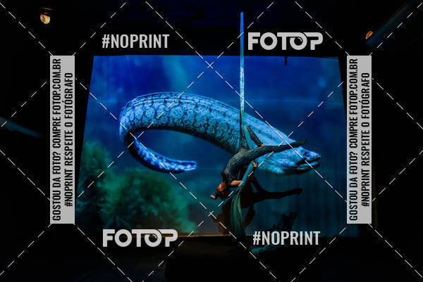 Buy your photos of the eventCabar� de Final de ano - 14/12  on Fotop