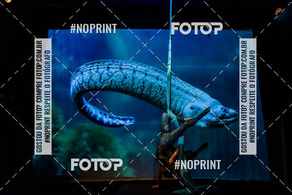 Buy your photos of the eventCabar� de Final de ano - 14/12  on Fotop