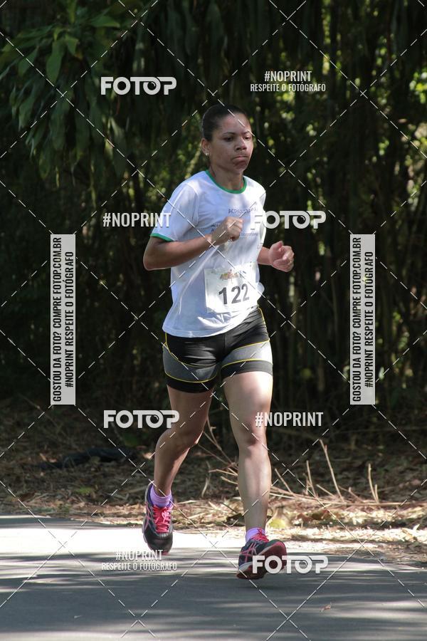 Buy your photos of the event33 Corrida Natalina on Fotop