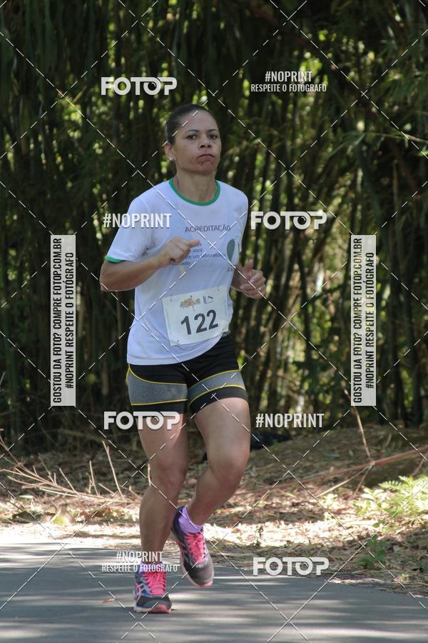 Buy your photos of the event33 Corrida Natalina on Fotop