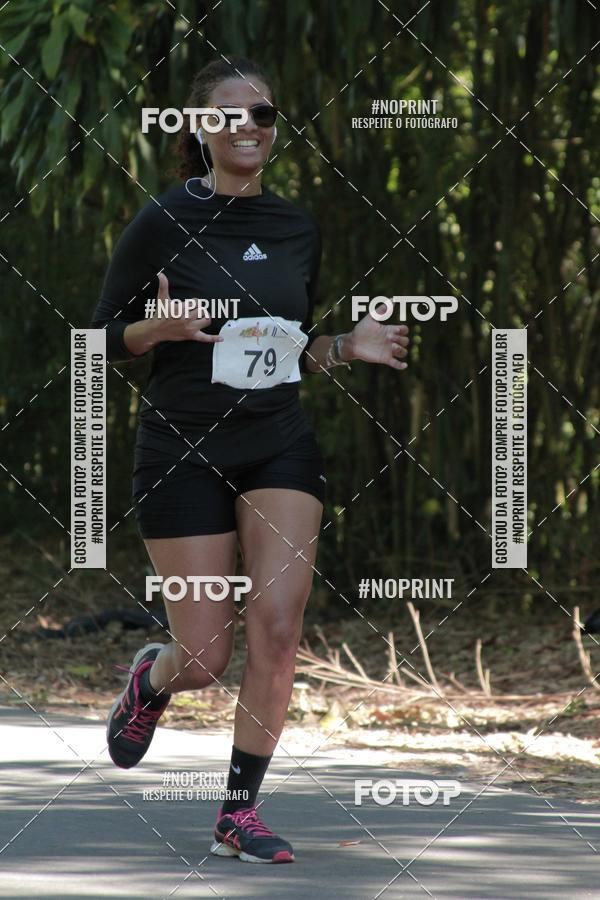 Buy your photos of the event33 Corrida Natalina on Fotop