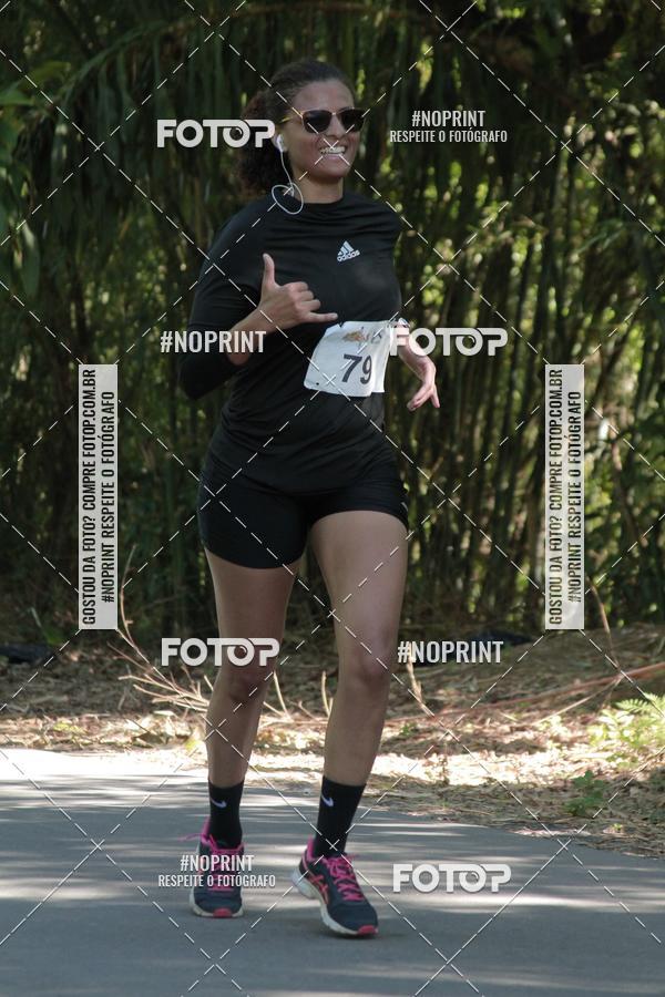 Buy your photos of the event33 Corrida Natalina on Fotop