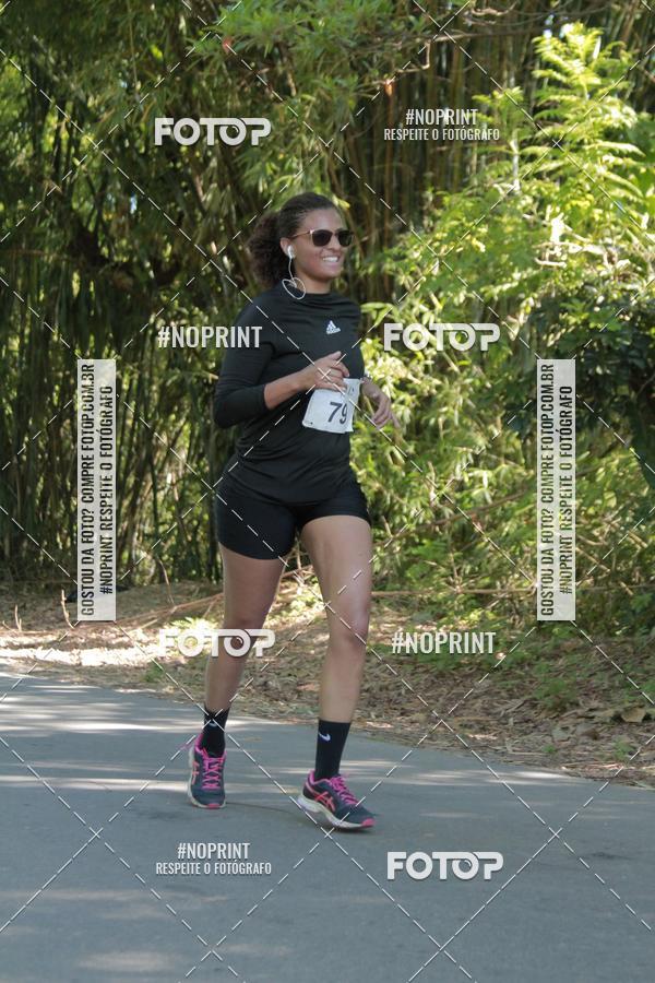 Buy your photos of the event33 Corrida Natalina on Fotop