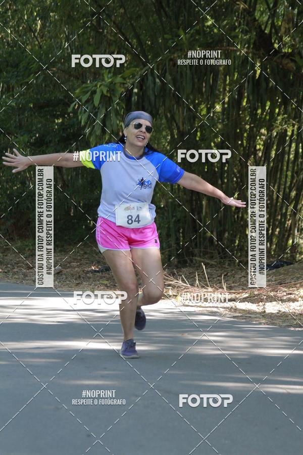 Buy your photos of the event33 Corrida Natalina on Fotop