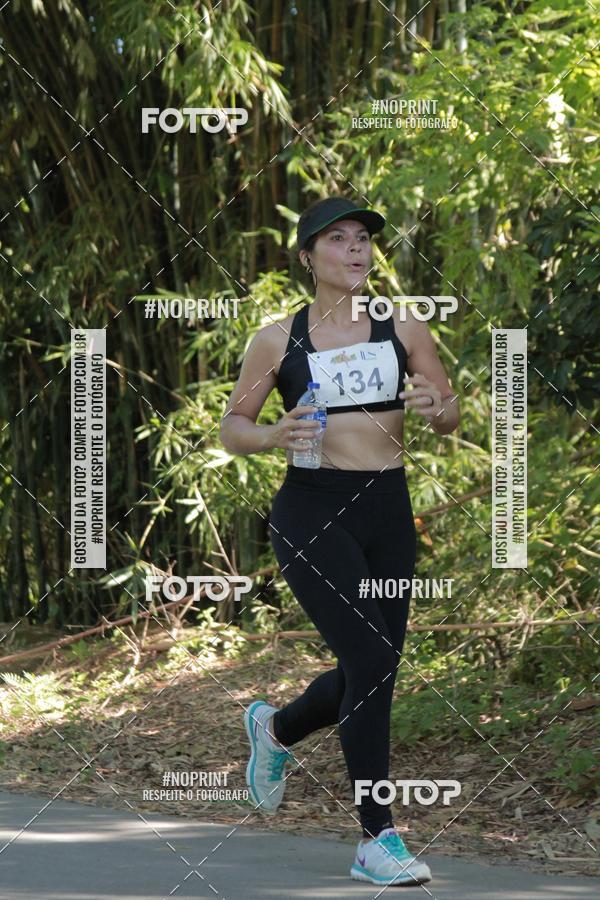 Buy your photos of the event33 Corrida Natalina on Fotop