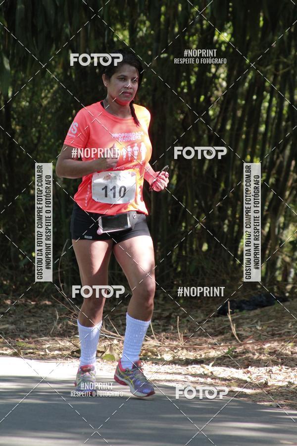 Buy your photos of the event33 Corrida Natalina on Fotop