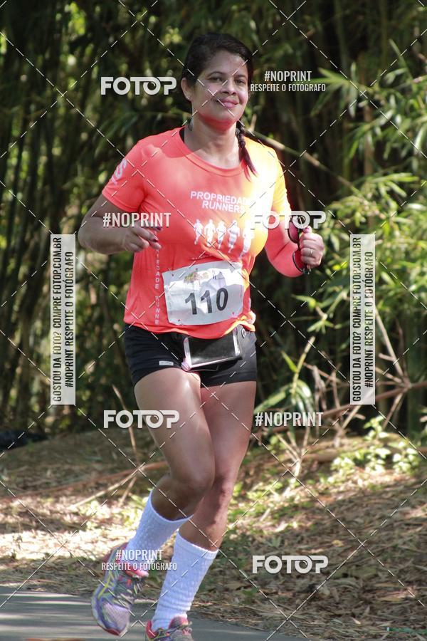 Buy your photos of the event33 Corrida Natalina on Fotop