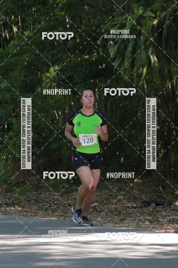 Buy your photos of the event33 Corrida Natalina on Fotop