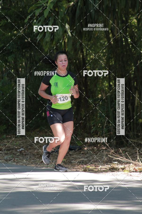 Buy your photos of the event33 Corrida Natalina on Fotop
