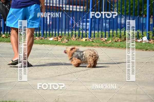 Compra tus fotos del eventoIII CICORRE - Parque da Macaxeira - Recife En Fotop