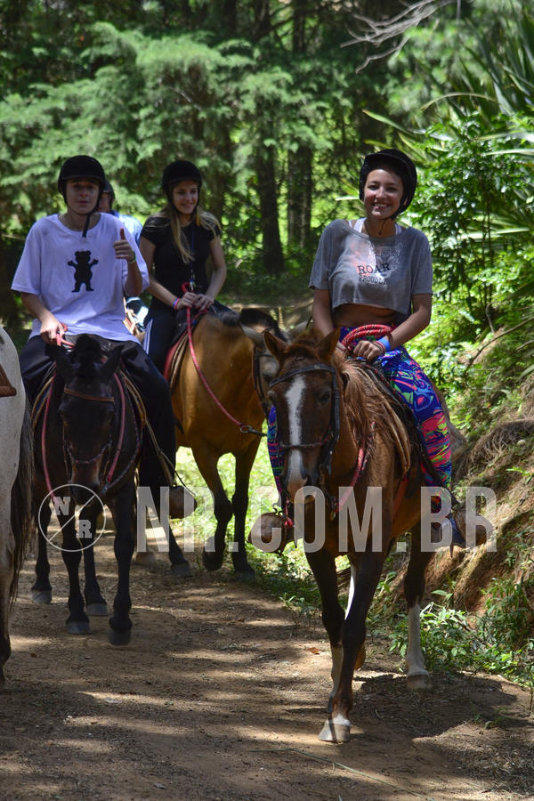 Buy your photos of the eventNR Sun - 12  A 15/12/18 on Fotop