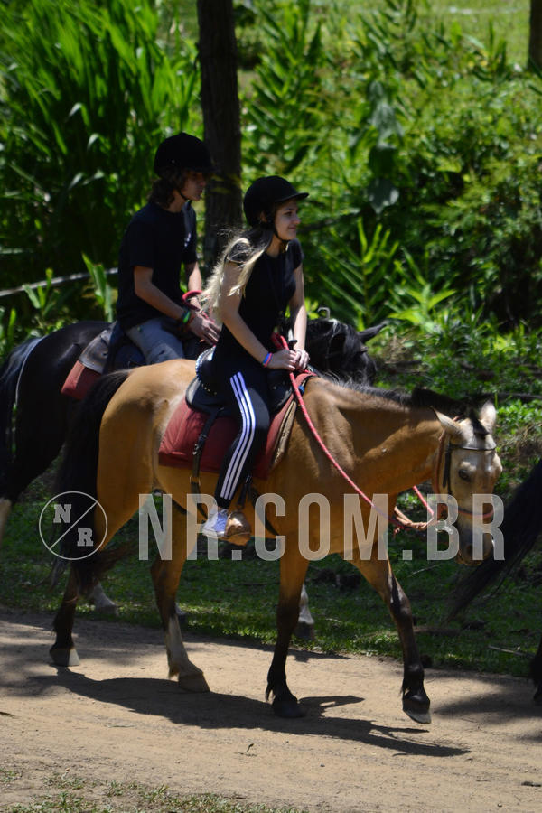 Buy your photos of the eventNR Sun - 12  A 15/12/18 on Fotop