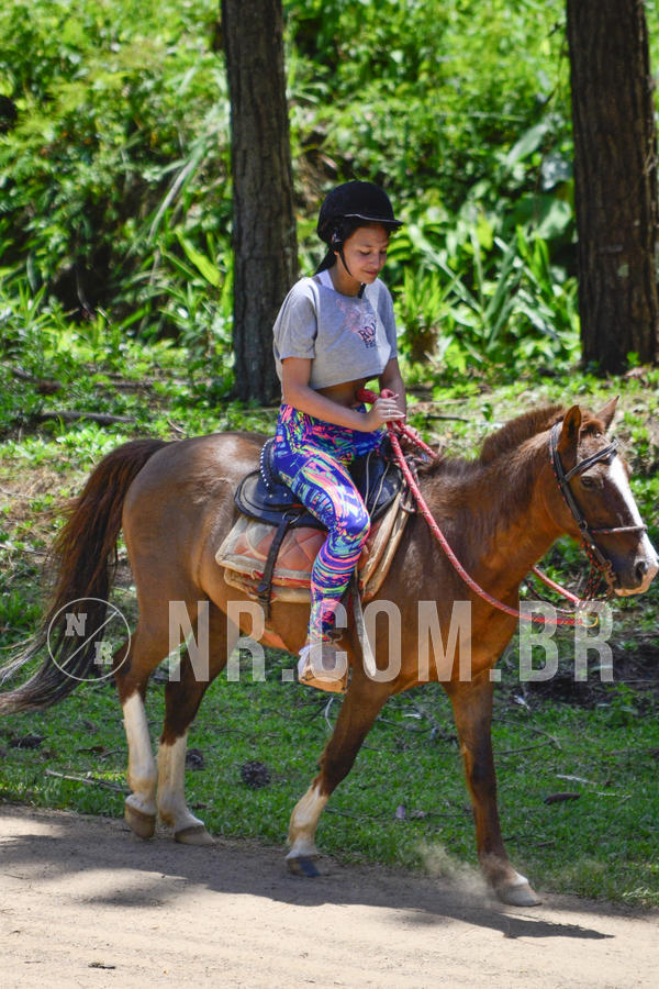 Buy your photos of the eventNR Sun - 12  A 15/12/18 on Fotop