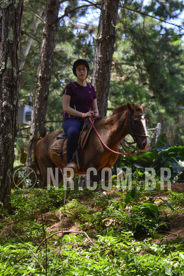 Buy your photos of the eventNR Sun - 12  A 15/12/18 on Fotop