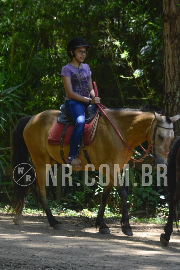 Buy your photos of the eventNR Sun - 12  A 15/12/18 on Fotop