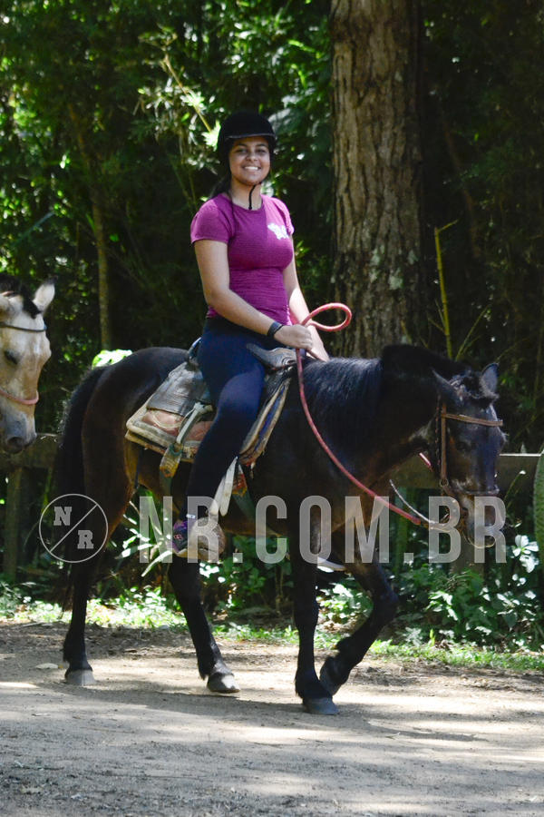 Buy your photos of the eventNR Sun - 12  A 15/12/18 on Fotop