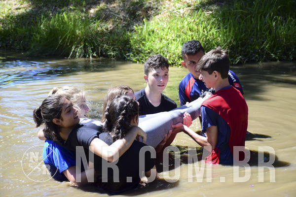 Buy your photos of the eventNR Sun - 12  A 15/12/18 on Fotop