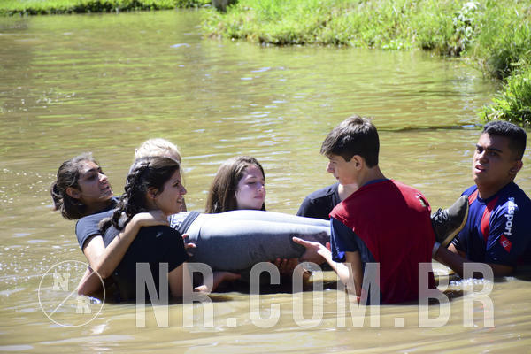 Buy your photos of the eventNR Sun - 12  A 15/12/18 on Fotop