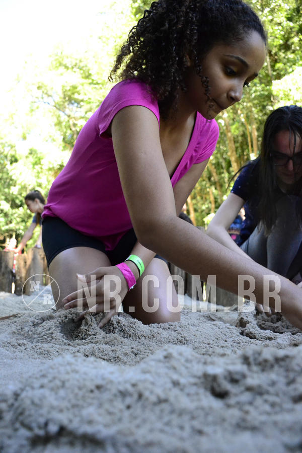 Buy your photos of the eventNR Sun - 12  A 15/12/18 on Fotop