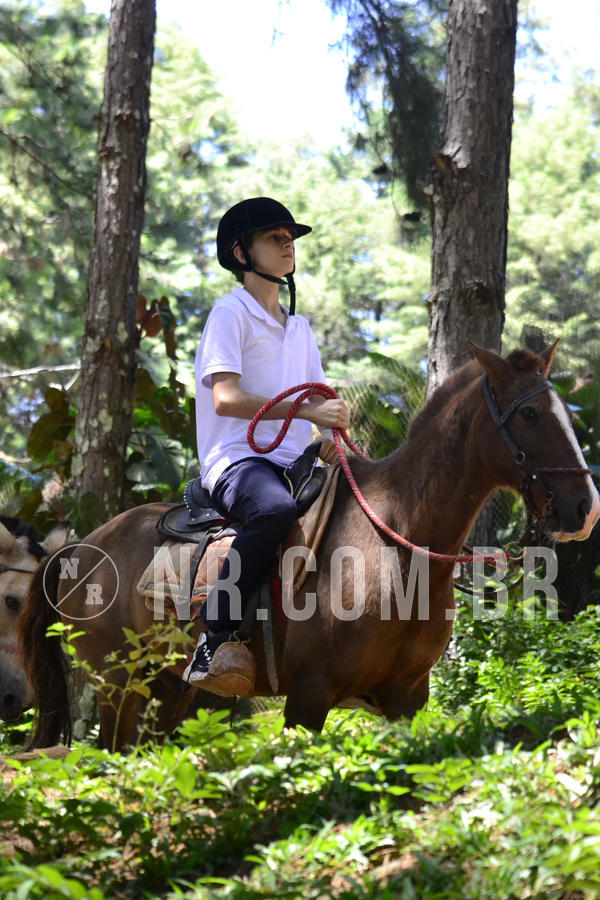 Buy your photos of the eventNR Sun - 12  A 15/12/18 on Fotop