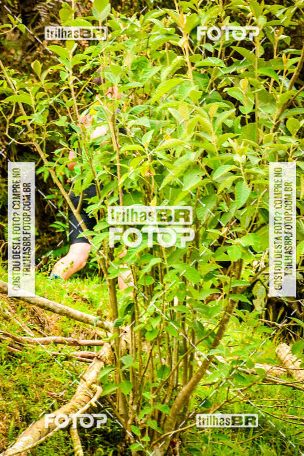 Buy your photos of the eventFirst Run on Fotop